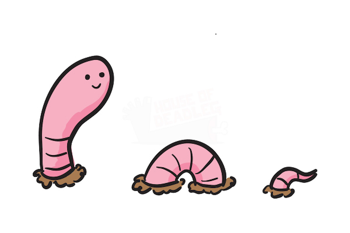 Cute 3D pink worm character illustration with a happy smiling face crawling in a minimalist digital art style.
